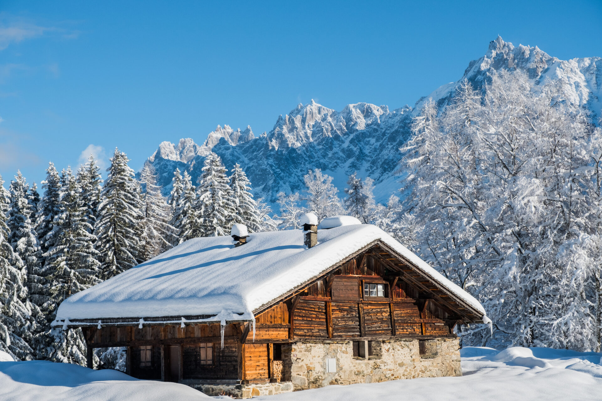 Grand chalet situé au cœur de la forêt, parfait pour une semaine au cœur de la nature.